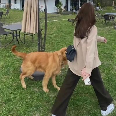 恋爱之歌